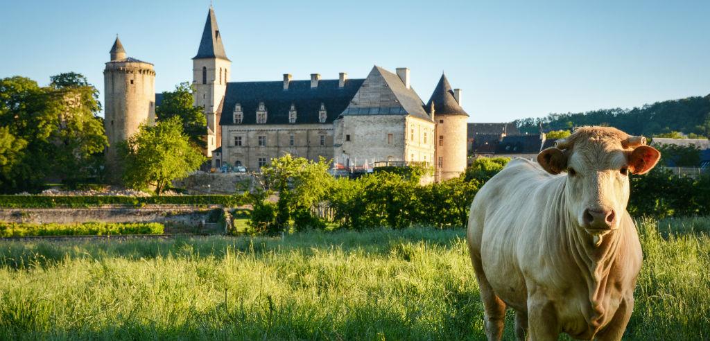 Bournazel Village And Castle Tourism In Aveyron Le Pays - 